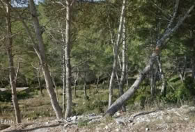 Foto 8