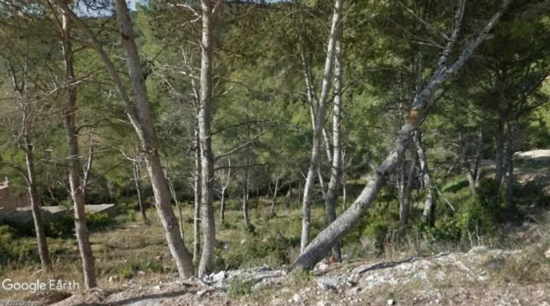 Barcelona - Canyelles - 573m2