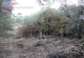 Land suitable for development for sale on España, Cáceres, ref: TR143527 photo