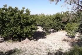 Moratalla 3225&nbsp;m² 