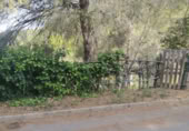 Terreny no urbanitzable en venda a la España, Abrera, ref.: TR118020 foto