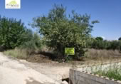 Terreny no urbanitzable en venda a la España, Alguazas, ref.: TR118872 foto