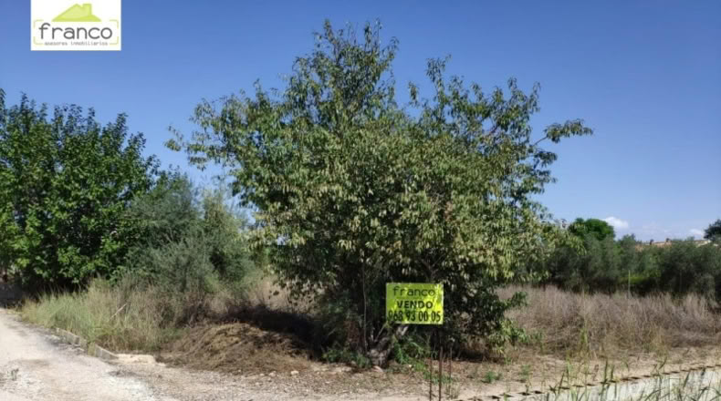 Múrcia - Alguazas - 300m2