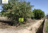 Terreny no urbanitzable en venda a la España, Alguazas, ref.: TR118872 foto