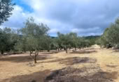 Terreno no urbanizable en venta en la España, el Perelló, ref: TR119073 foto