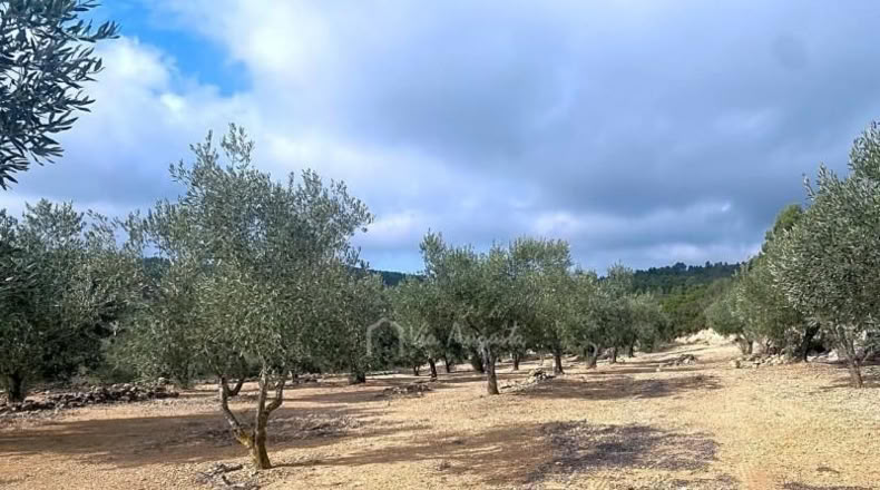 Tarragona - el Perelló - 10929m2