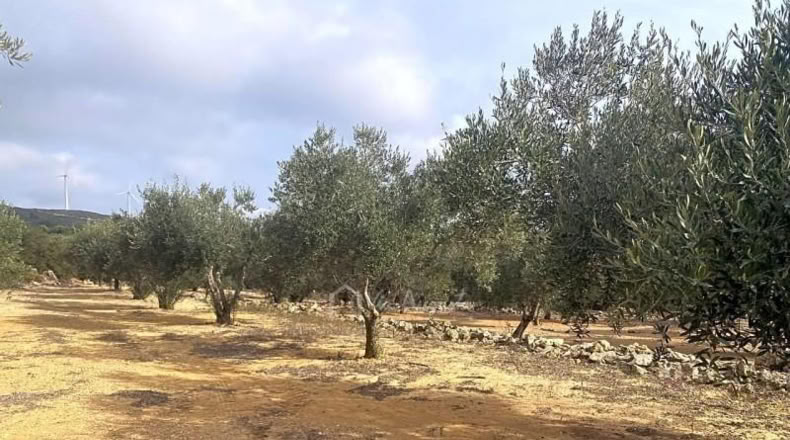 Tarragona - el Perelló - 10929m2