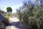 Terreny no urbanitzable en venda a la España, Calasparra, ref.: TR119432 foto
