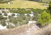 Terreny no urbanitzable en venda a la España, Calasparra, ref.: TR119432 foto