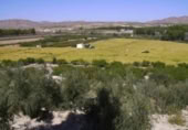 Terreny no urbanitzable en venda a la España, Calasparra, ref.: TR119432 foto