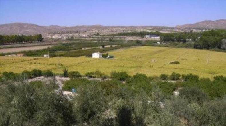Múrcia - Calasparra - 6708m2