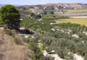 Terreny no urbanitzable en venda a la España, Calasparra, ref.: TR119432 foto