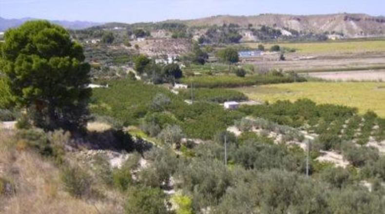 Múrcia - Calasparra - 6708m2