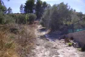Foto 7