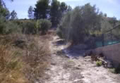 Terreny no urbanitzable en venda a la España, Calasparra, ref.: TR119432 foto