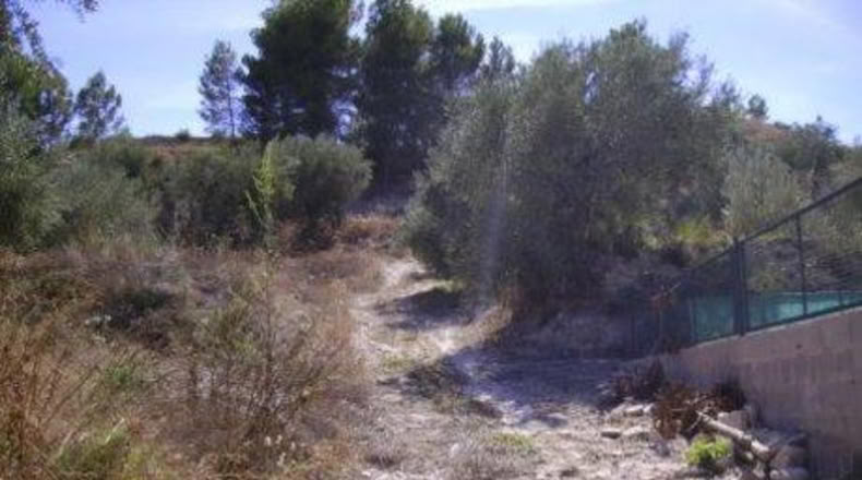 Múrcia - Calasparra - 6708m2