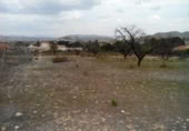 Terreny no urbanitzable en venda a la España, Calasparra, ref.: TR119455 foto