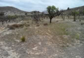 Terreny no urbanitzable en venda a la España, Calasparra, ref.: TR119455 foto