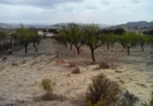 Terreny no urbanitzable en venda a la España, Calasparra, ref.: TR119455 foto