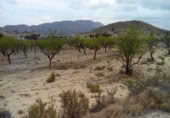 Terreny no urbanitzable en venda a la España, Calasparra, ref.: TR119455 foto