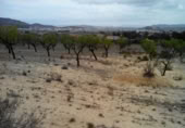 Terreny no urbanitzable en venda a la España, Calasparra, ref.: TR119455 foto