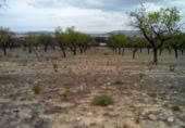 Terreny no urbanitzable en venda a la España, Calasparra, ref.: TR119455 foto