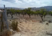 Terreny no urbanitzable en venda a la España, Calasparra, ref.: TR119455 foto