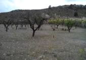 Terreny no urbanitzable en venda a la España, Calasparra, ref.: TR119455 foto