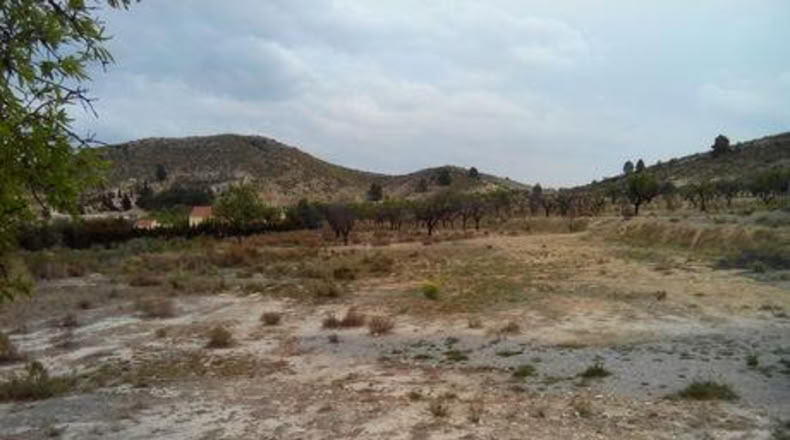 Múrcia - Calasparra - 5000m2
