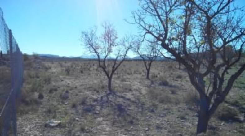 Múrcia - Calasparra - 5300m2