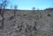 Terreny no urbanitzable en venda a la España, Calasparra, ref.: TR119464 foto