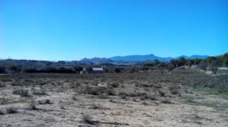 Murcia - Calasparra - 5000m2