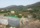 Terreny no urbanitzable en venda a la España, Calasparra, ref.: TR119468 foto