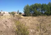 Non-developable land for sale on España, Calasparra, ref: TR119484 photo