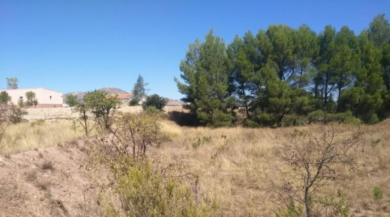 Múrcia - Calasparra - 5000m2