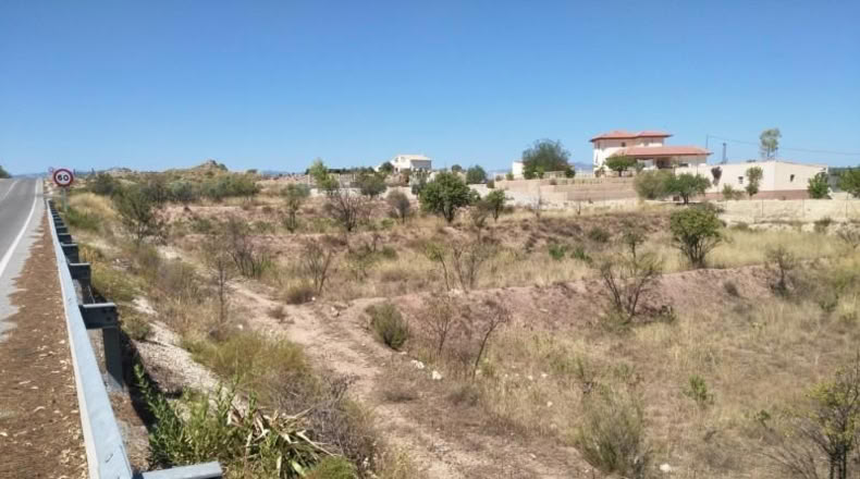 Múrcia - Calasparra - 5000m2