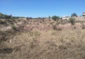 Non-developable land for sale on España, Calasparra, ref: TR119484 photo