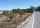 Non-developable land for sale on España, Calasparra, ref: TR119484 photo