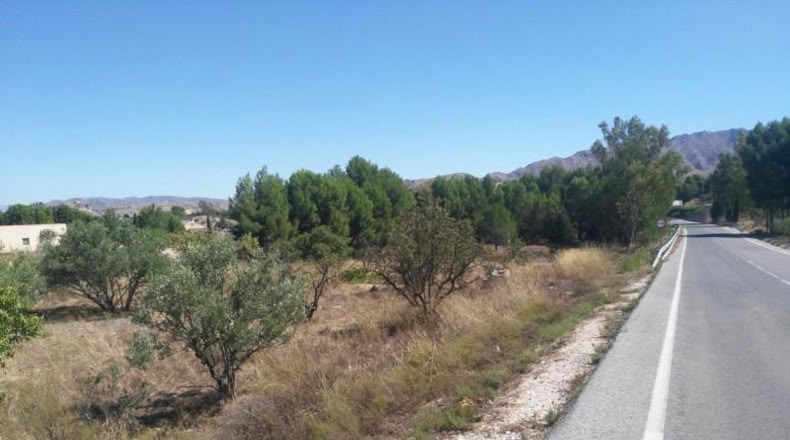 Múrcia - Calasparra - 5000m2