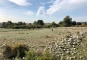 Parcel·la urbanitzable en venda a la España, Sant Jaume dels Domenys, ref.: TR239180 foto