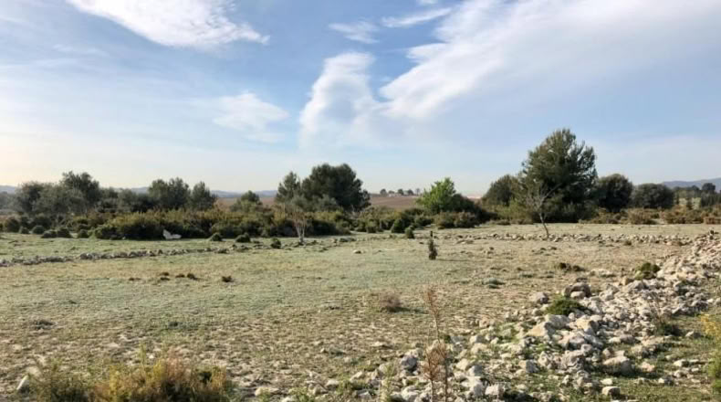 Tarragona - Sant Jaume dels Domenys - 422m2