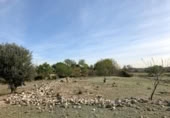 Parcel·la urbanitzable en venda a la España, Sant Jaume dels Domenys, ref.: TR239180 foto