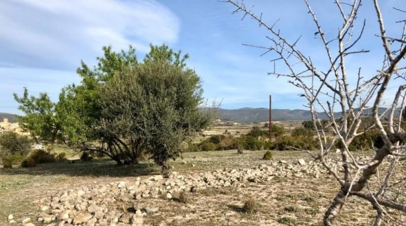Tarragona - Sant Jaume dels Domenys - 422m2