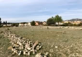 Parcel·la urbanitzable en venda a la España, Sant Jaume dels Domenys, ref.: TR239180 foto