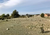 Parcel·la urbanitzable en venda a la España, Sant Jaume dels Domenys, ref.: TR239180 foto