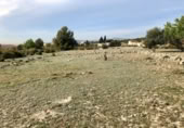Parcel·la urbanitzable en venda a la España, Sant Jaume dels Domenys, ref.: TR239180 foto