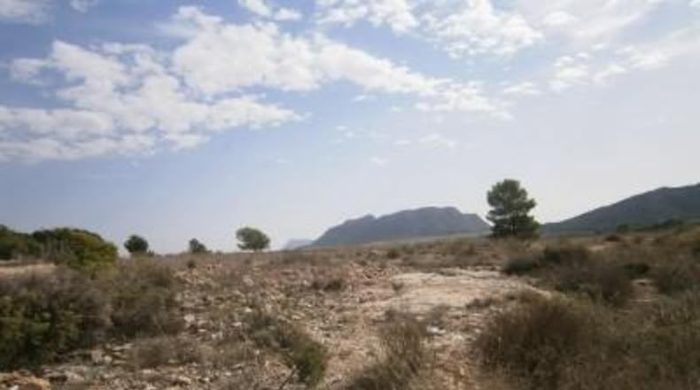 Alicante - Salinas - 14000m2