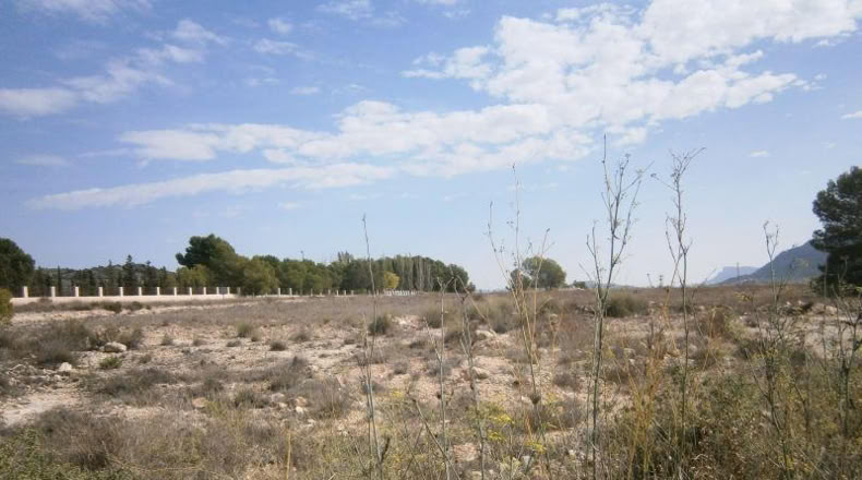 Alicante - Salinas - 14000m2