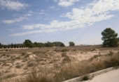 Terreny no urbanitzable en venda a la España, Salines, ref.: TR122110 foto
