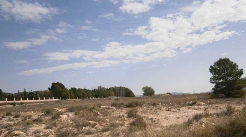 Alicante - Salinas - 14000m2